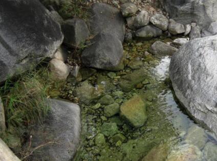 山泉水过滤系统设计方案