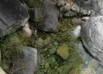 山泉水过滤系统设计方案